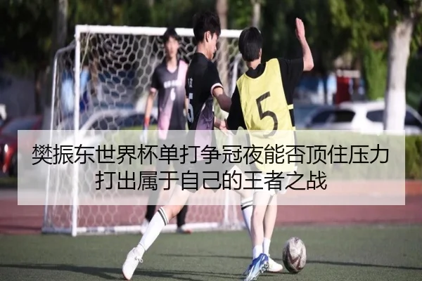 樊振东世界杯单打争冠夜能否顶住压力打出属于自己的王者之战